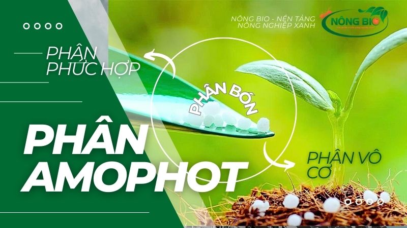 Phân Amophot là một loại phân phức hợp với ít nhân 2 yếu tố dinh dưỡng đa lượng kết hợp