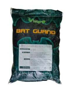 Phân dơi hữu cơ Bat Guano Indonesia