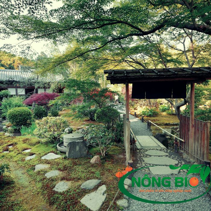 Thiết kế sân vườn đơn giản theo phong cách Nhật Bản