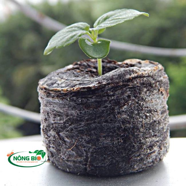 Viên Nén Xơ Dừa với 100% thành phần hữu cơ từ mụn dừa được nghiền nhuyễn, xử lý khử mầm bệnh, được bổ sung thêm men vi sinh cùng các dưỡng chất khác tạo môi trường lý tưởng cho mầm cây phát triển.