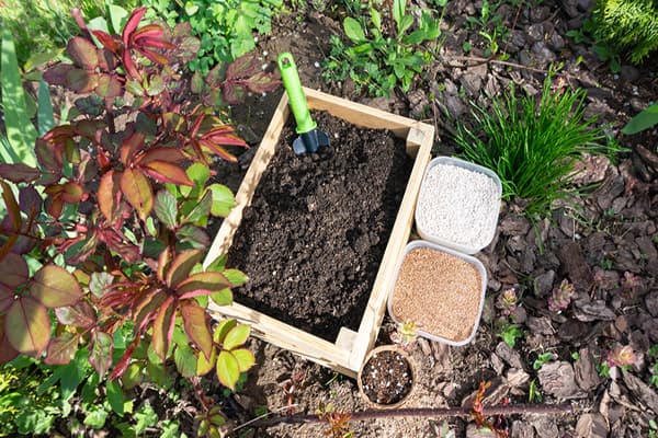 sử dụng rơm rạ khô đã xử lý, cây dớn… đặt dưới đáy thùng xốp với mục đích lưu lại các chất dinh dưỡng cho rau xanh
