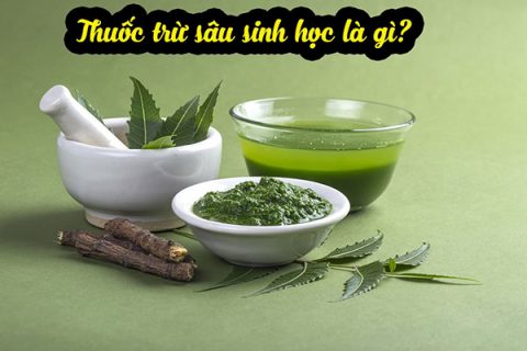 Thuốc trừ sâu sinh học là gì