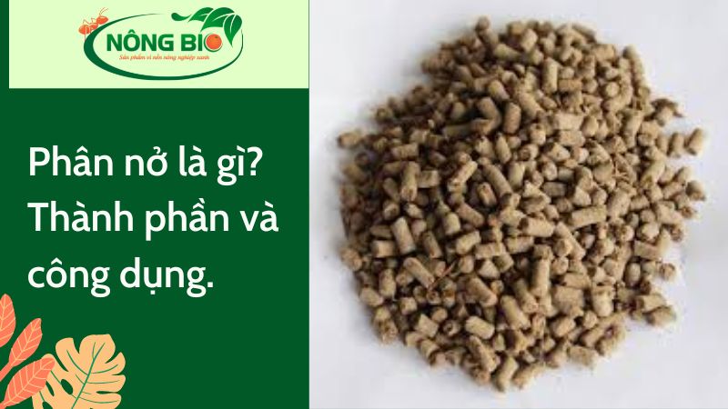 Phân nở - một loại phân bón hữu cơ vi sinh khá quen thuộc với bà con nhà nông