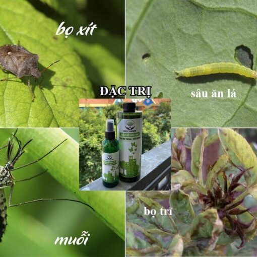 Giấm Gỗ Sinh Học xua đuổi côn trùng sâu bệnh, trị nấm, bọ trĩ, nhện, rệp, thương hiệu DOCNEEM dung tích 500ml