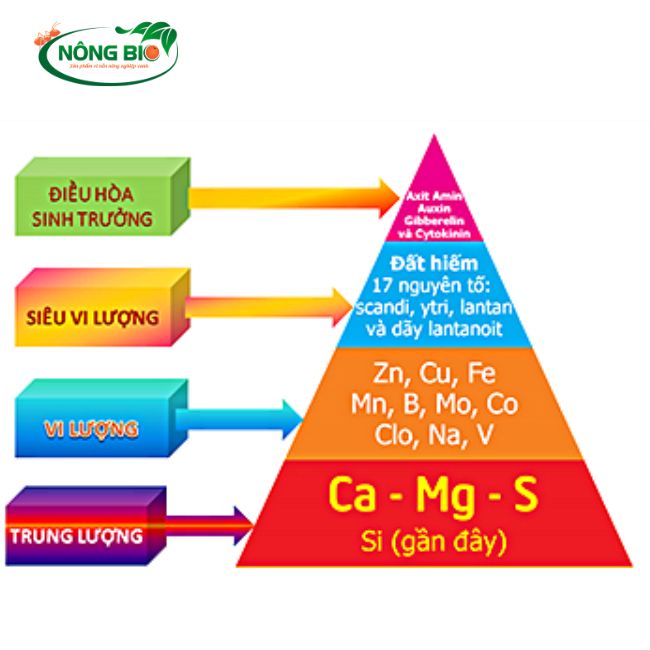 Phân bón hữu cơ sông gianh giúp cải thiện các vấn đè thiếu hụt dinh dưỡng ở cây trồng