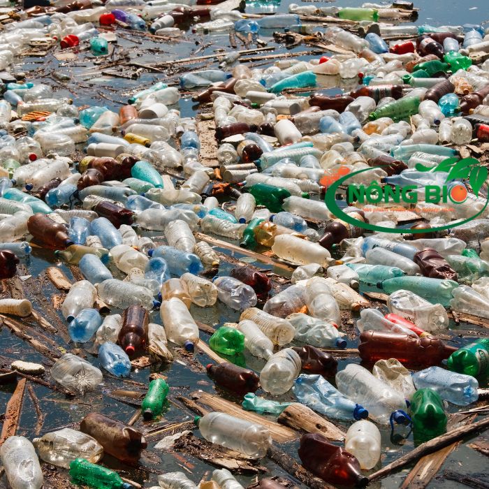 Tình trạng ô nhiễm môi trường bởi rác thải nhựa 