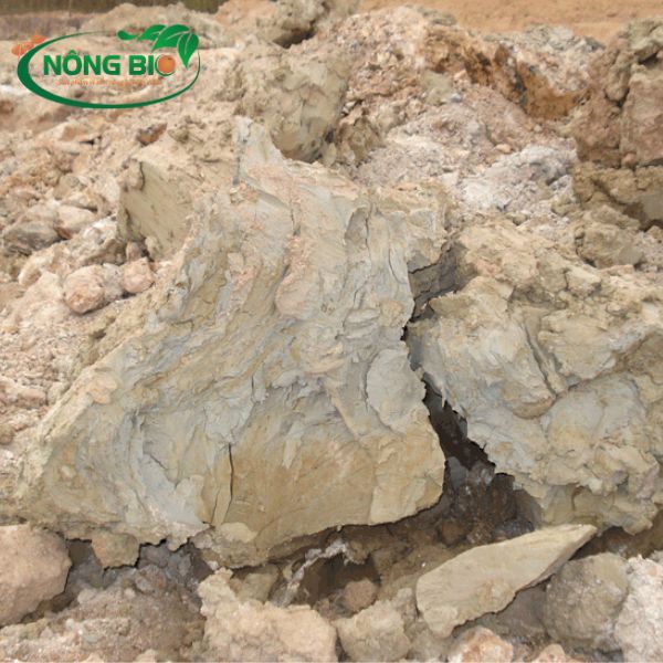 Đất sét là loại đất có kết cấu giữ chặt nên có nó có thể giữ nước, ẩm và có nhiều chất dinh hơn so với các loại đất khác.