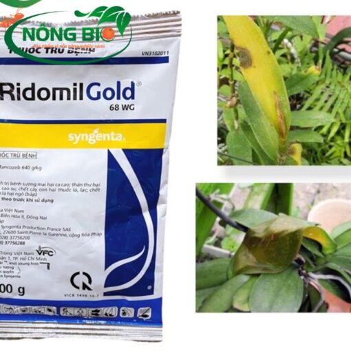 Thuốc ngăn ngừa bệnh trên cây trồng ridomil gold được nhiều người chọn lựa
