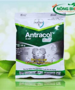 Antracol-thuốc trị nấm trên cây trồng được nhiều bà con ưa chuộng hiện nay