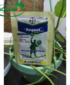 Thuốc trừ sâu regent hiện được nhiều người biết đến bởi công dụng ngăn ngừa hoàn toàn sâu bệnh