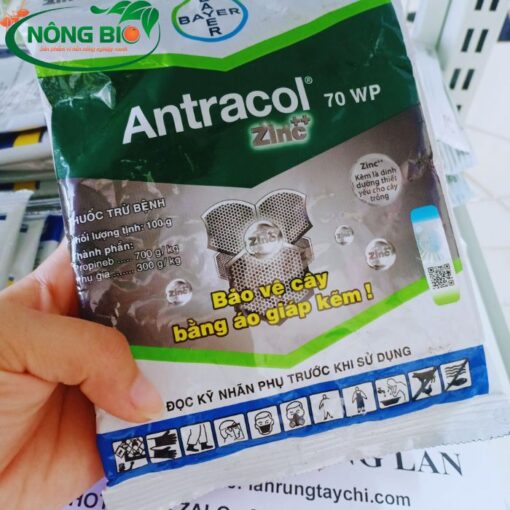 Antracol là một loại thuốc bảo vệ thực vật được sử dụng để chống lại các bệnh gây hại cho cây trồng