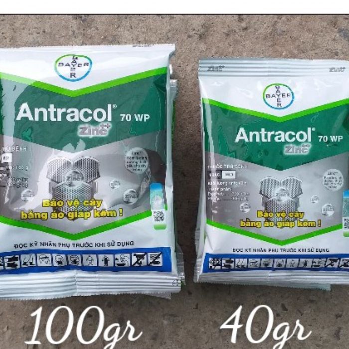 Antracol là một loại thuốc trừ nấm được sử dụng để kiểm soát và ngăn chặn sự phát triển của các loại nấm gây hại cho cây trồng. Cơ chế hoạt động của Antracol là nhờ vào thành phần chính có trong nó là hoạt chất Mancozeb.