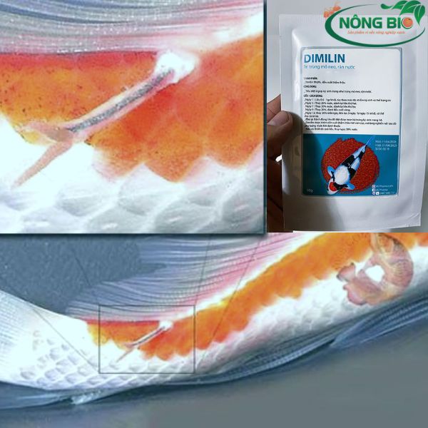 Trị trùng mỏ neo trên cá koi bằng dimilin chứa thành phần thuốc trừ sâu nên cá sẽ rất mệt mỏi khi chạm vào nước nên bạn phải suy nghĩ kỹ trước khi sử dụng.