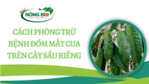 Bệnh đốm mắt cua trên cây sầu riêng có thể là do nhiều nguyên nhân khác nhau, và việc chẩn đoán chính xác yêu cầu quan sát kỹ lưỡng.