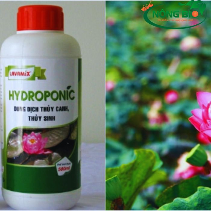 Dung dịch thủy canh hydroponic, là một loại dung dịch chứa nhiều chất dinh dưỡng giúp cây trưởng thành mạnh mẽ.