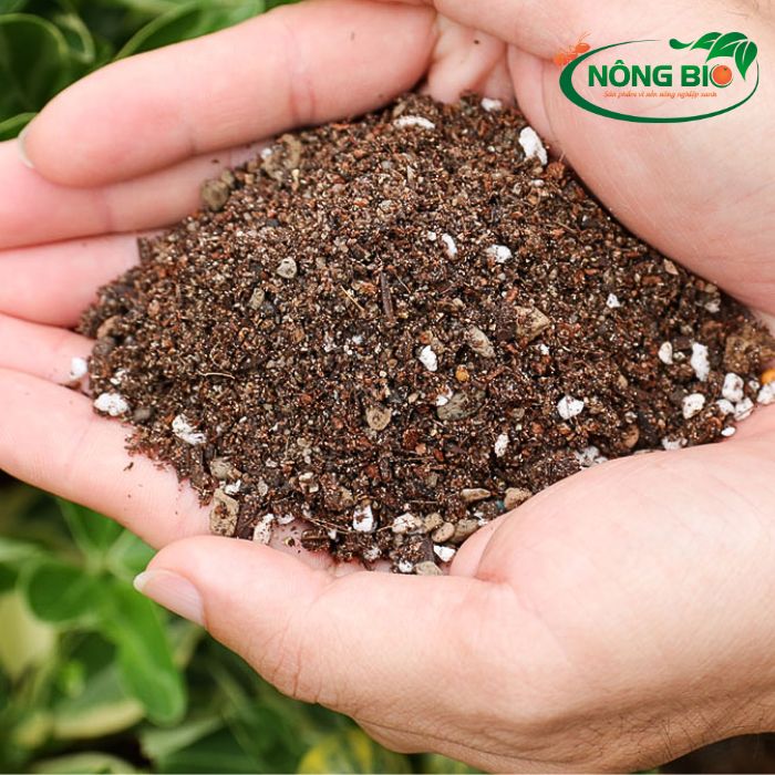 Đất trồng sen đá là loại đất chứa đầy đủ các chất dinh dưỡng, đảm bảo độ tơi xốp để tạo môi trường tốt cho sen đá phát triển