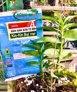Công dụng của kin kin bul: Giúp ngăn ngừa tình trạng lá vàng, sương mai hại cà chua, loét sọc hại cao su… không ảnh hưởng xấu đến cây trồng.