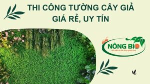 Việc trồng cây trang trí không chỉ làm đẹp mà còn tạo cảm giác thư thái và gần gũi hơn với thiên nhiên. Tuy nhiên, không phải ai cũng có điều kiện để có một vườn hoa xanh quanh năm. Để giải quyết vấn đề này, dịch vụ thi công tường cây giả của Nông Bio đã xuất hiện và thu hút sự quan tâm của nhiều người.