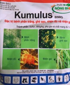 Kumulus 80WG là khắc tinh của bệnh phấn trắng trên nhiều loại cây trồng như cây ăn quả (xoài, nho, dâu tây,...), rau màu (dưa leo, cà chua, ớt,...), hoa hồng, hoa lan,... Triệu chứng của bệnh phấn trắng là các đốm trắng mịn như bột xuất hiện trên lá, thân, cành và quả, khiến cây còi cọc, rụng lá và giảm năng suất.