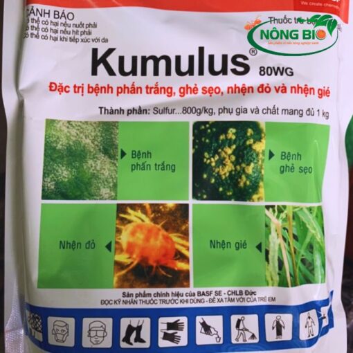 Kumulus 80WG là khắc tinh của bệnh phấn trắng trên nhiều loại cây trồng như cây ăn quả (xoài, nho, dâu tây,...), rau màu (dưa leo, cà chua, ớt,...), hoa hồng, hoa lan,... Triệu chứng của bệnh phấn trắng là các đốm trắng mịn như bột xuất hiện trên lá, thân, cành và quả, khiến cây còi cọc, rụng lá và giảm năng suất.