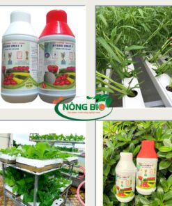 Dung dịch dinh dưỡng thủy canh Hydro Umat V cam kết cung cấp một nguồn dinh dưỡng đa dạng và đầy đủ, an toàn cho cây trồng, với 12 thành phần thiết yếu được chia thành 3 nhóm chất quan trọng